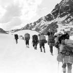 Thirty Days to Survival